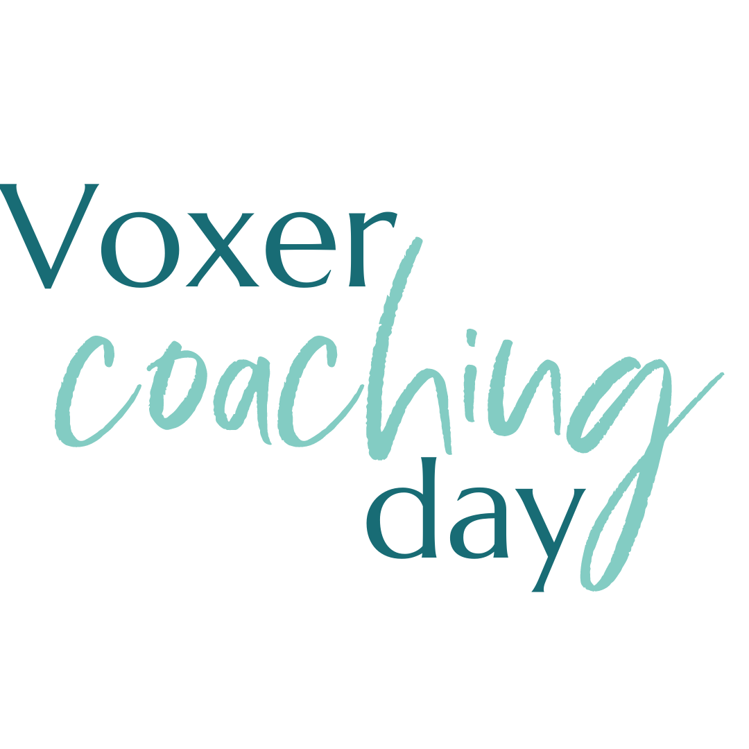 1:1 Voxer Coaching Day for Service Providers